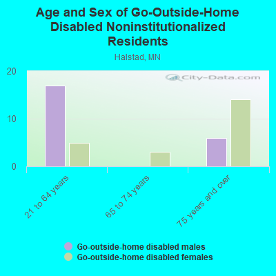 Age and Sex of Go-Outside-Home Disabled Noninstitutionalized Residents