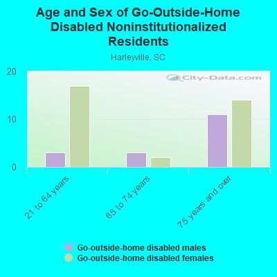 Age and Sex of Go-Outside-Home Disabled Noninstitutionalized Residents