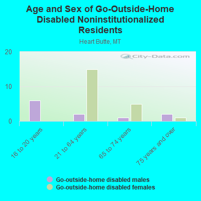 Age and Sex of Go-Outside-Home Disabled Noninstitutionalized Residents