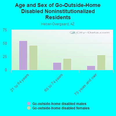 Age and Sex of Go-Outside-Home Disabled Noninstitutionalized Residents