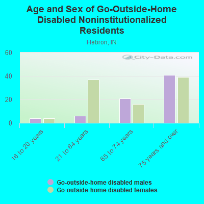 Age and Sex of Go-Outside-Home Disabled Noninstitutionalized Residents