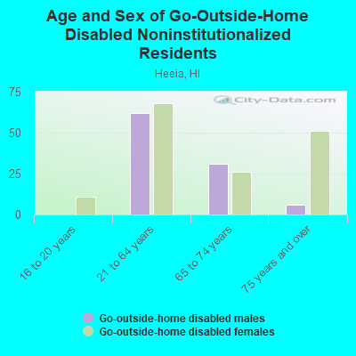 Age and Sex of Go-Outside-Home Disabled Noninstitutionalized Residents