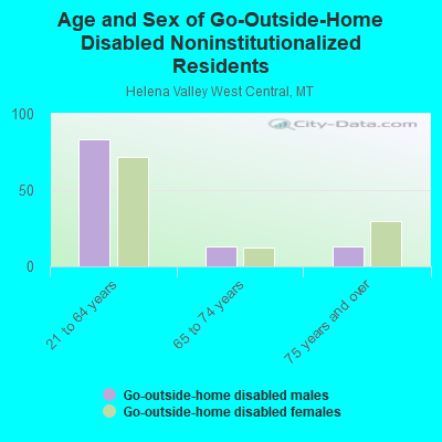 Age and Sex of Go-Outside-Home Disabled Noninstitutionalized Residents