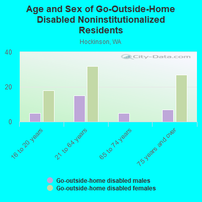 Age and Sex of Go-Outside-Home Disabled Noninstitutionalized Residents