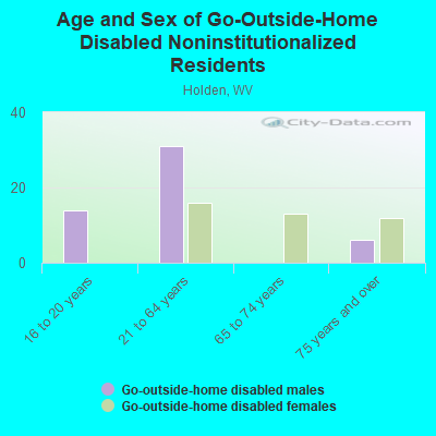 Age and Sex of Go-Outside-Home Disabled Noninstitutionalized Residents