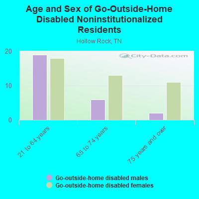 Age and Sex of Go-Outside-Home Disabled Noninstitutionalized Residents