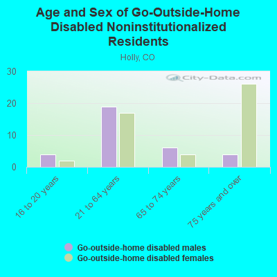 Age and Sex of Go-Outside-Home Disabled Noninstitutionalized Residents