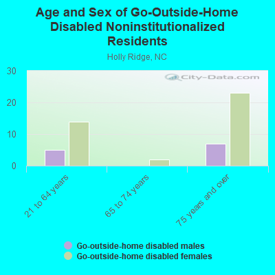 Age and Sex of Go-Outside-Home Disabled Noninstitutionalized Residents