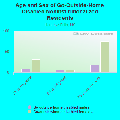 Age and Sex of Go-Outside-Home Disabled Noninstitutionalized Residents