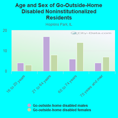 Age and Sex of Go-Outside-Home Disabled Noninstitutionalized Residents