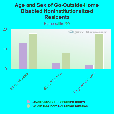 Age and Sex of Go-Outside-Home Disabled Noninstitutionalized Residents