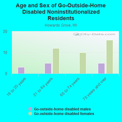 Age and Sex of Go-Outside-Home Disabled Noninstitutionalized Residents