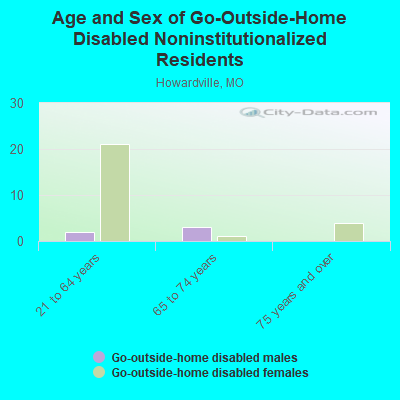 Age and Sex of Go-Outside-Home Disabled Noninstitutionalized Residents