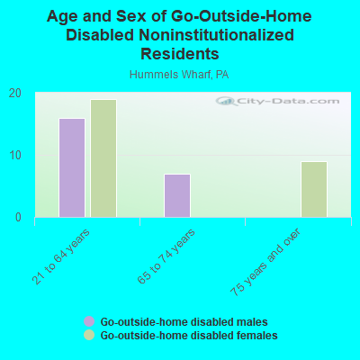 Age and Sex of Go-Outside-Home Disabled Noninstitutionalized Residents