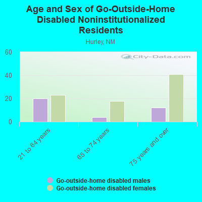 Age and Sex of Go-Outside-Home Disabled Noninstitutionalized Residents