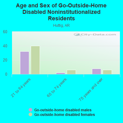 Age and Sex of Go-Outside-Home Disabled Noninstitutionalized Residents