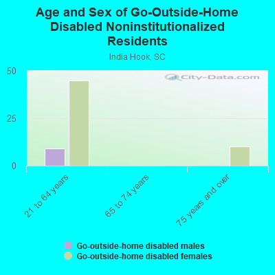 Age and Sex of Go-Outside-Home Disabled Noninstitutionalized Residents