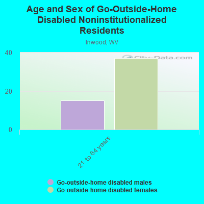 Age and Sex of Go-Outside-Home Disabled Noninstitutionalized Residents