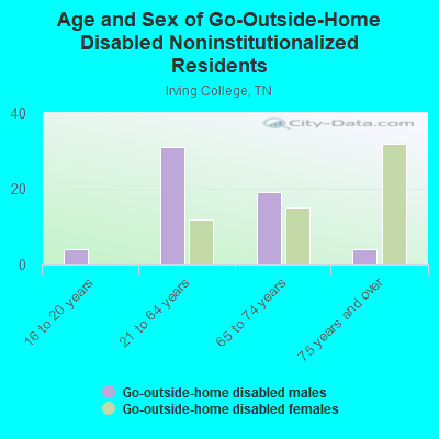 Age and Sex of Go-Outside-Home Disabled Noninstitutionalized Residents