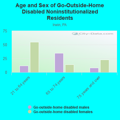 Age and Sex of Go-Outside-Home Disabled Noninstitutionalized Residents