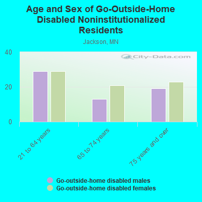 Age and Sex of Go-Outside-Home Disabled Noninstitutionalized Residents