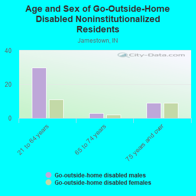 Age and Sex of Go-Outside-Home Disabled Noninstitutionalized Residents