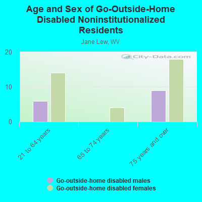 Age and Sex of Go-Outside-Home Disabled Noninstitutionalized Residents