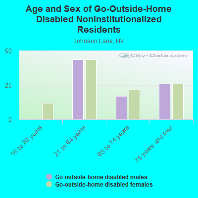 Age and Sex of Go-Outside-Home Disabled Noninstitutionalized Residents