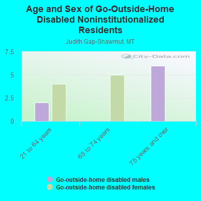 Age and Sex of Go-Outside-Home Disabled Noninstitutionalized Residents