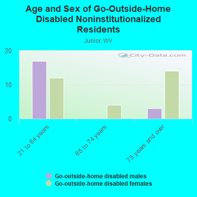 Age and Sex of Go-Outside-Home Disabled Noninstitutionalized Residents