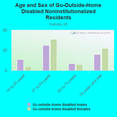 Age and Sex of Go-Outside-Home Disabled Noninstitutionalized Residents