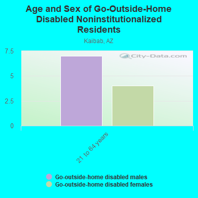 Age and Sex of Go-Outside-Home Disabled Noninstitutionalized Residents