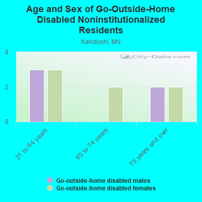 Age and Sex of Go-Outside-Home Disabled Noninstitutionalized Residents