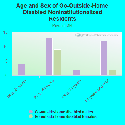 Age and Sex of Go-Outside-Home Disabled Noninstitutionalized Residents