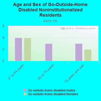 Age and Sex of Go-Outside-Home Disabled Noninstitutionalized Residents