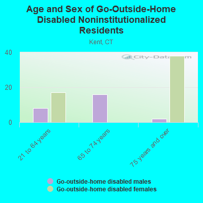 Age and Sex of Go-Outside-Home Disabled Noninstitutionalized Residents