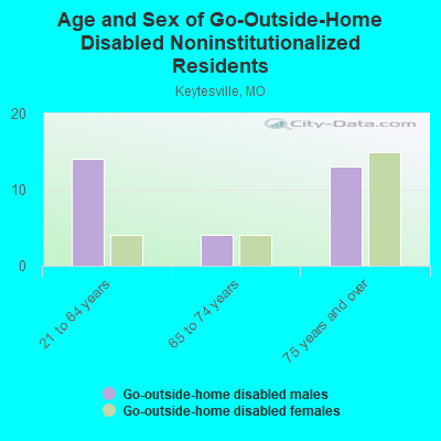 Age and Sex of Go-Outside-Home Disabled Noninstitutionalized Residents