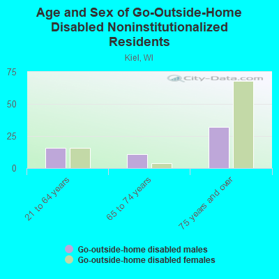 Age and Sex of Go-Outside-Home Disabled Noninstitutionalized Residents