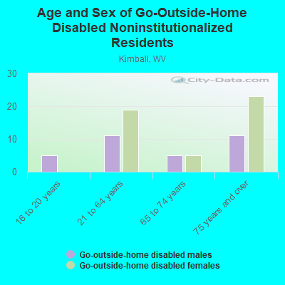 Age and Sex of Go-Outside-Home Disabled Noninstitutionalized Residents