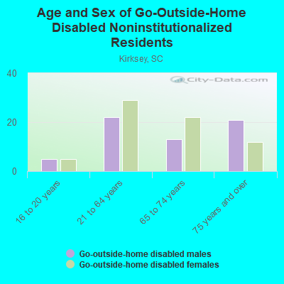 Age and Sex of Go-Outside-Home Disabled Noninstitutionalized Residents