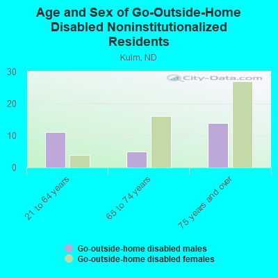 Age and Sex of Go-Outside-Home Disabled Noninstitutionalized Residents