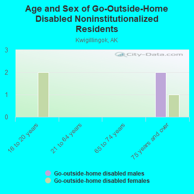 Age and Sex of Go-Outside-Home Disabled Noninstitutionalized Residents