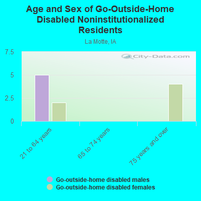 Age and Sex of Go-Outside-Home Disabled Noninstitutionalized Residents