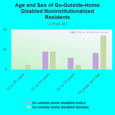 Age and Sex of Go-Outside-Home Disabled Noninstitutionalized Residents