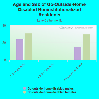 Age and Sex of Go-Outside-Home Disabled Noninstitutionalized Residents