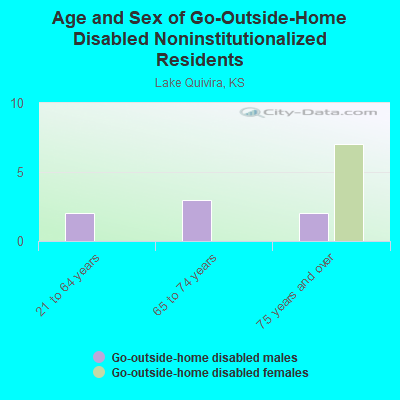 Age and Sex of Go-Outside-Home Disabled Noninstitutionalized Residents