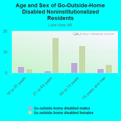 Age and Sex of Go-Outside-Home Disabled Noninstitutionalized Residents