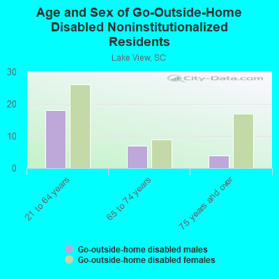 Age and Sex of Go-Outside-Home Disabled Noninstitutionalized Residents