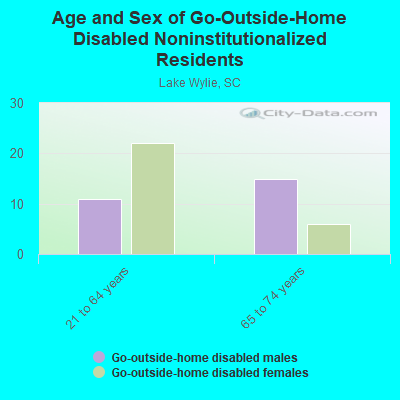 Age and Sex of Go-Outside-Home Disabled Noninstitutionalized Residents