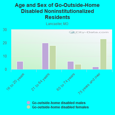 Age and Sex of Go-Outside-Home Disabled Noninstitutionalized Residents